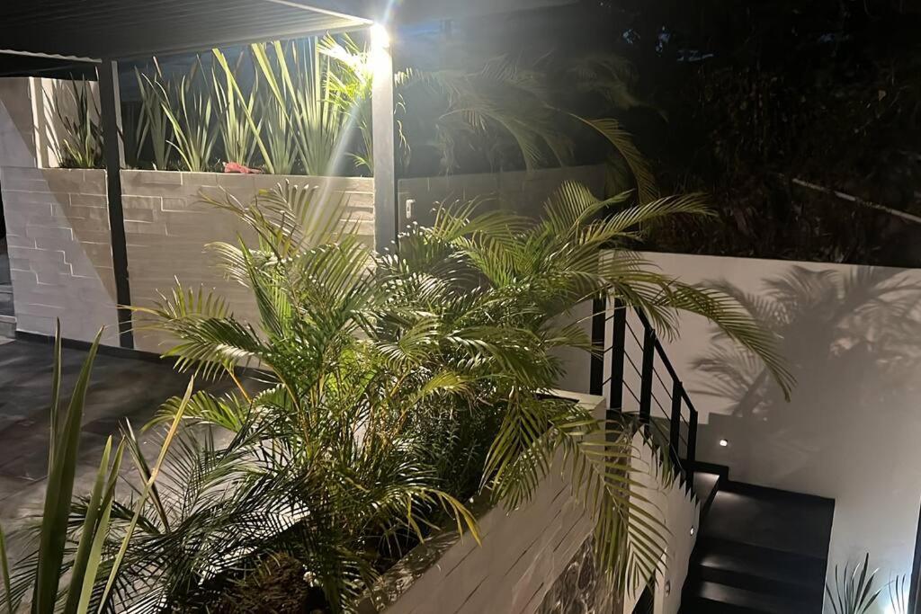 Vila Residencia Corinto La Cima Frac Burgos Bugambilias Temixco Exteriér fotografie
